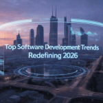 software development